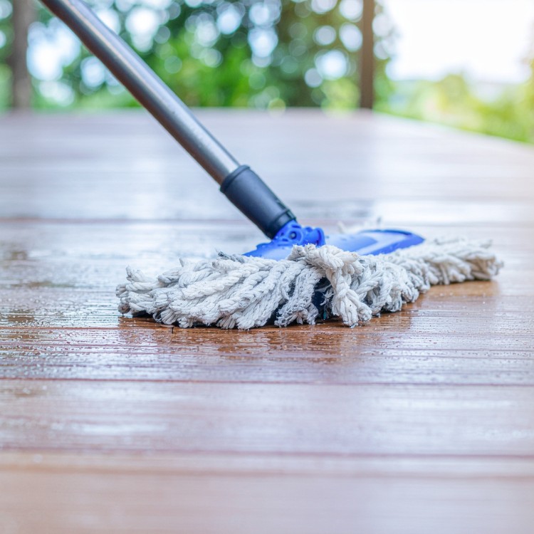 Just another WordPress site